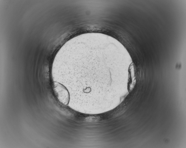 X0000111680700200908281136