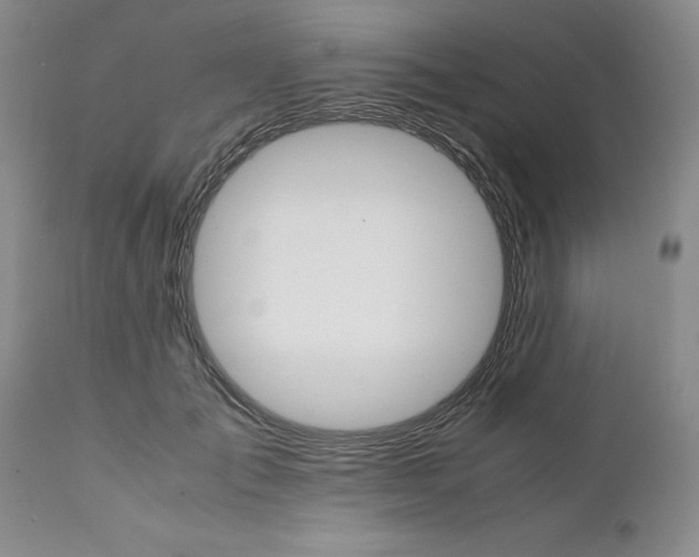 X0000111680701200908281136