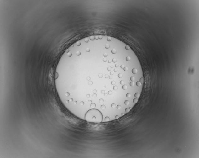 X0000111680702200908281136