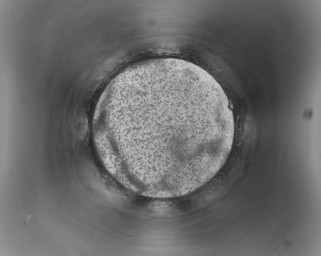 X0000111680704200908281136