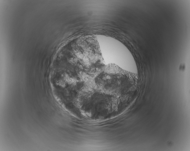 X0000111680707200908281136