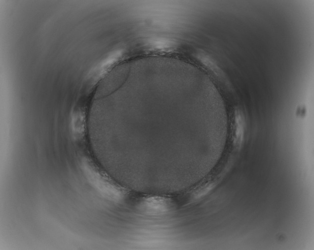 X0000111680708200908281136