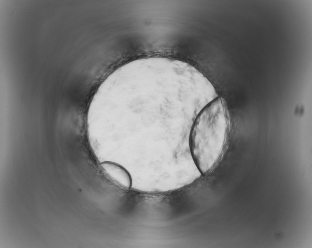 X0000111680709200908281136