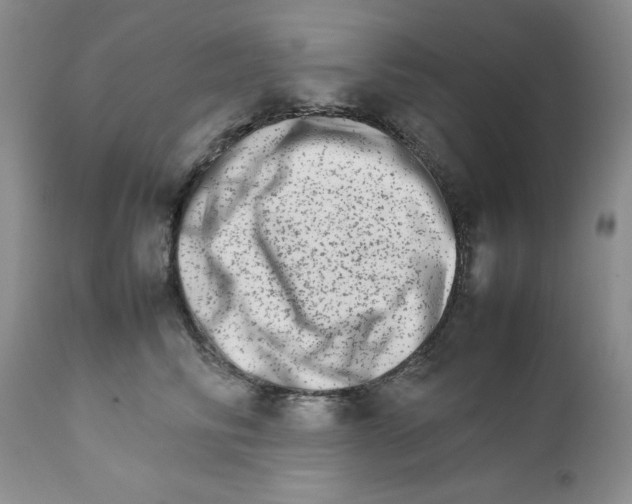 X0000111680710200908281136