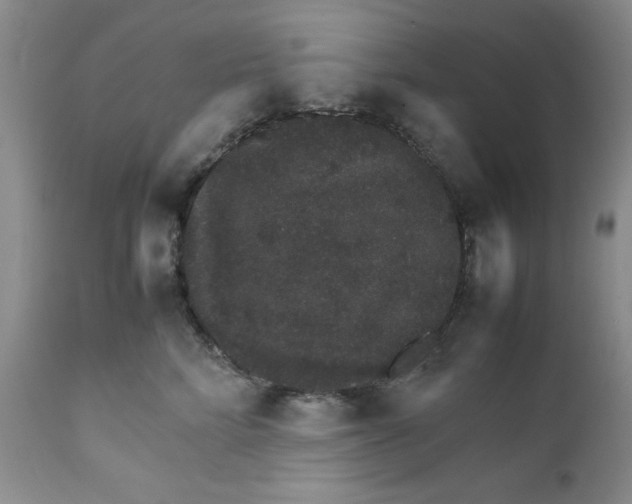 X0000111680712200908281136