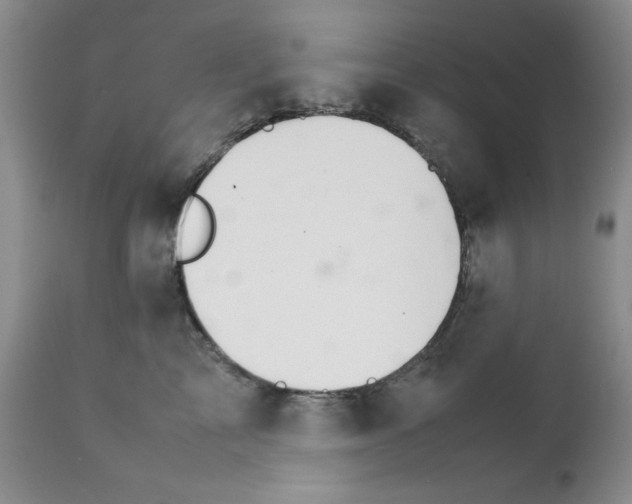 X0000111680713200908281136