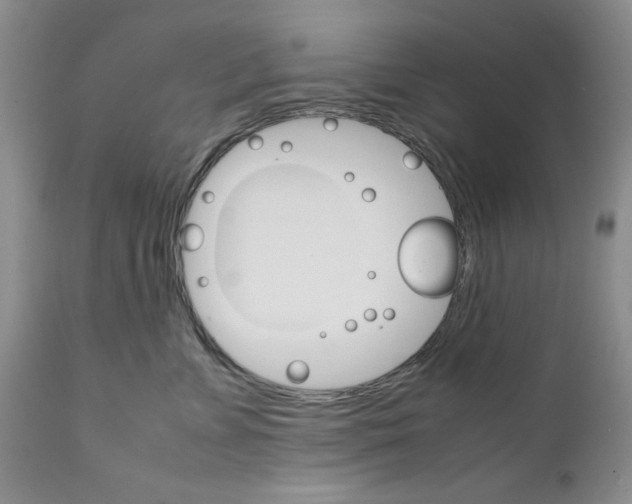 X0000111680715200908281136