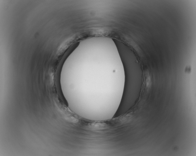 X0000111680716200908281136