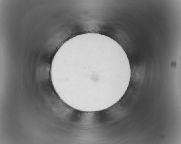 X0000111680717200908281136