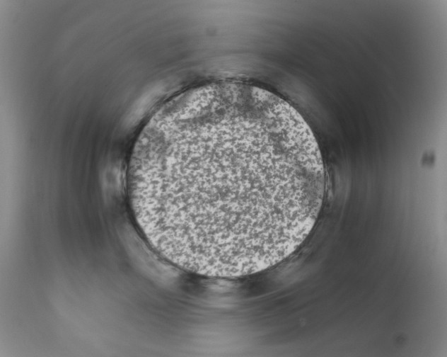 X0000111680718200908281136