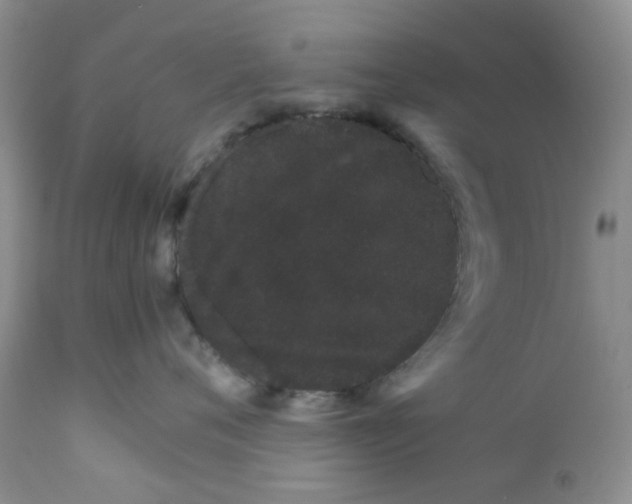 X0000111680720200908281136