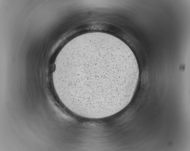 X0000111680722200908281135