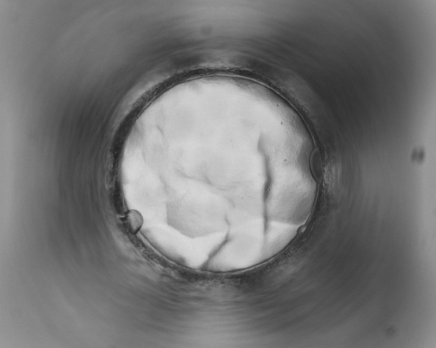 X0000111680724200908281135