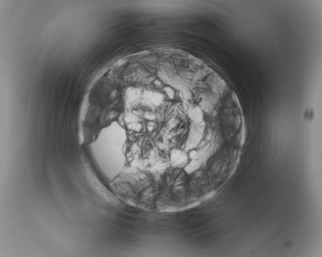 X0000111680725200908281135