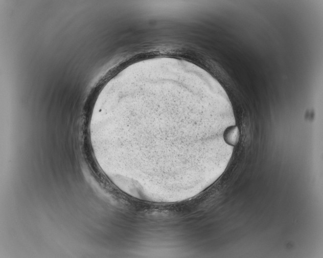 X0000111680730200908281135