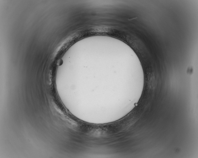 X0000111680731200908281135