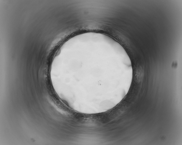 X0000111680732200908281135