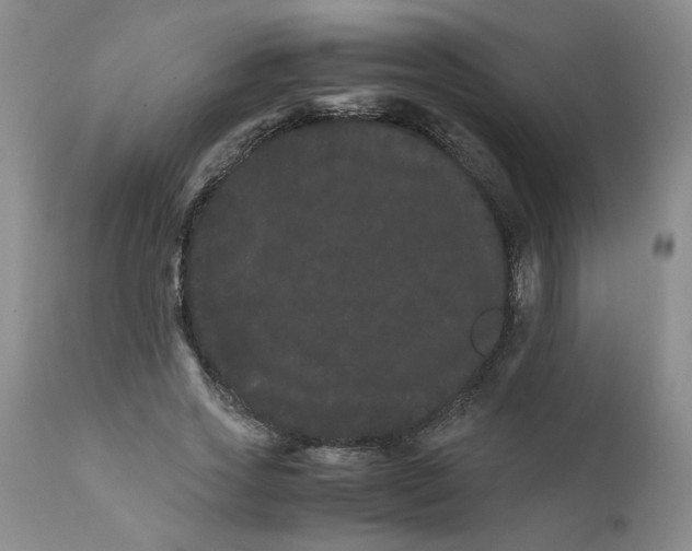 X0000111680733200908281135