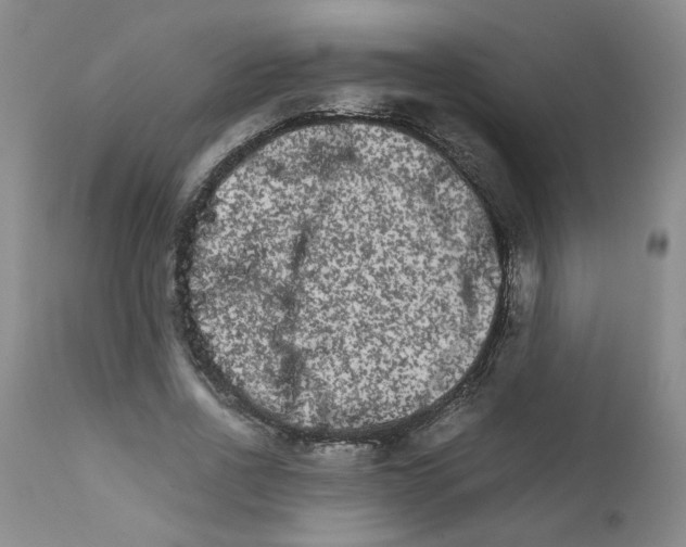 X0000111680734200908281135