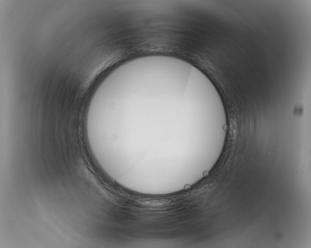 X0000111680735200908281135