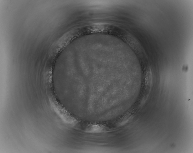 X0000111680737200908281135