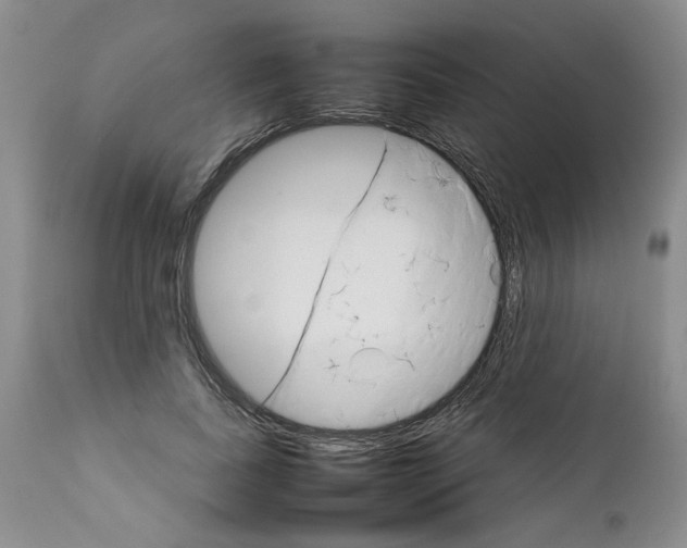 X0000111680739200908281135