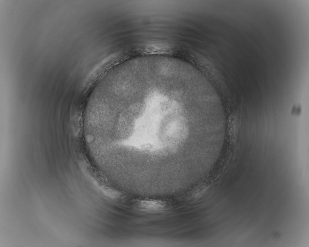 X0000111680741200908281135