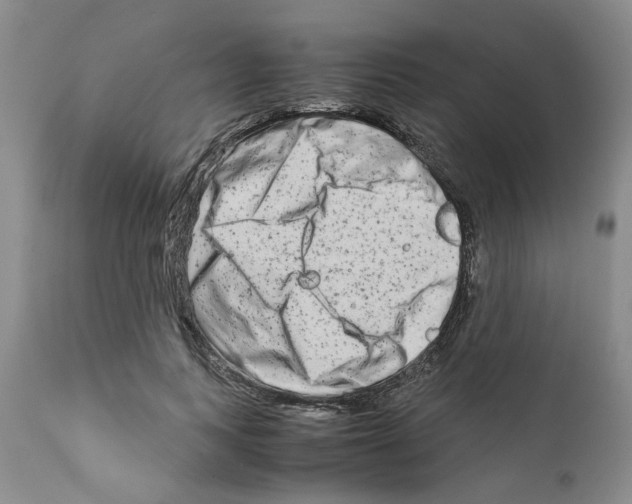 X0000111680743200908281135