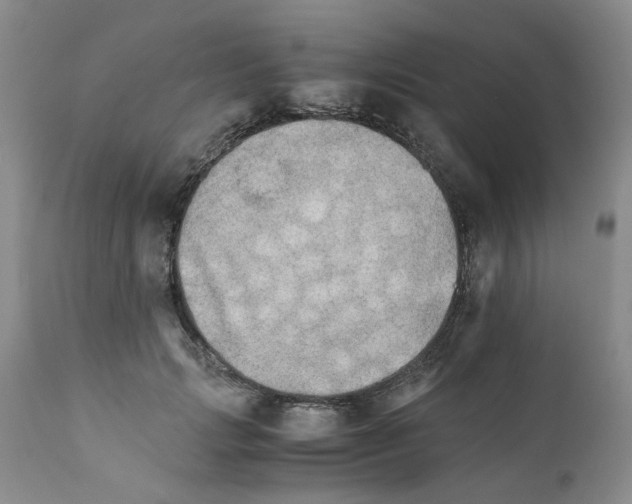 X0000111680749200908281135