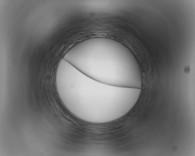 X0000111680752200908281135