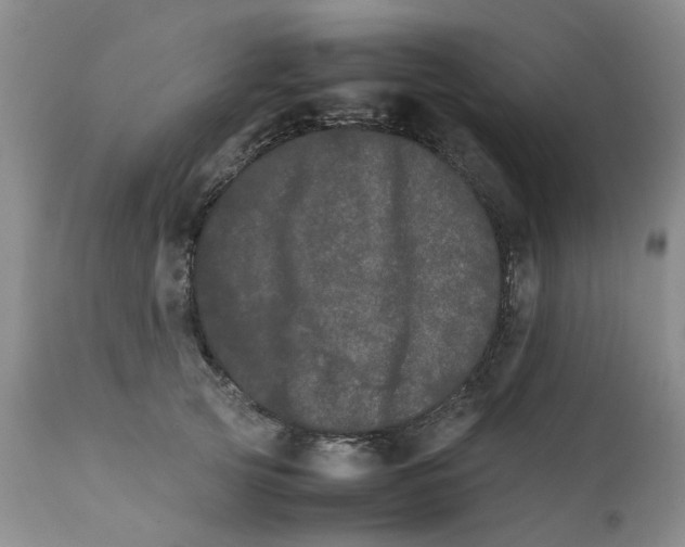 X0000111680753200908281135