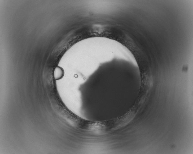 X0000111680754200908281135