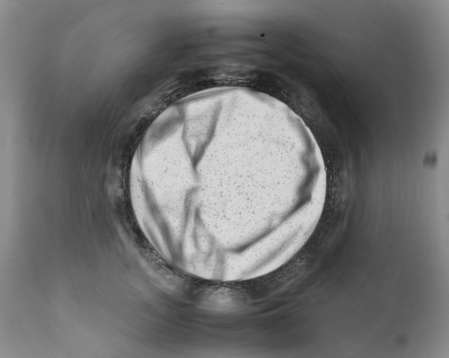 X0000111680755200908281135