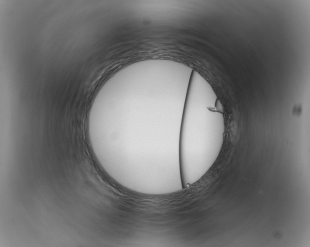 X0000111680756200908281135