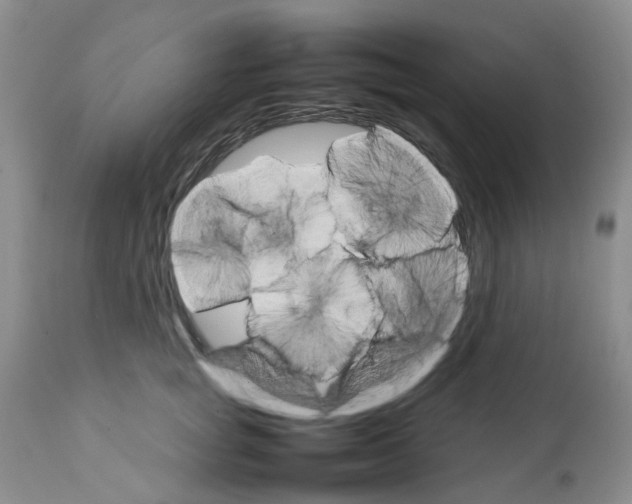 X0000111680757200908281135