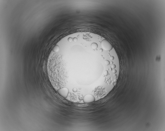 X0000111680758200908281135