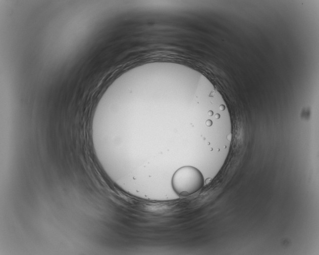 X0000111680759200908281135