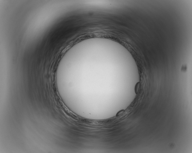 X0000111680760200908281136