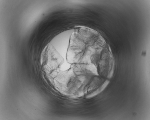 X0000111680761200908281136