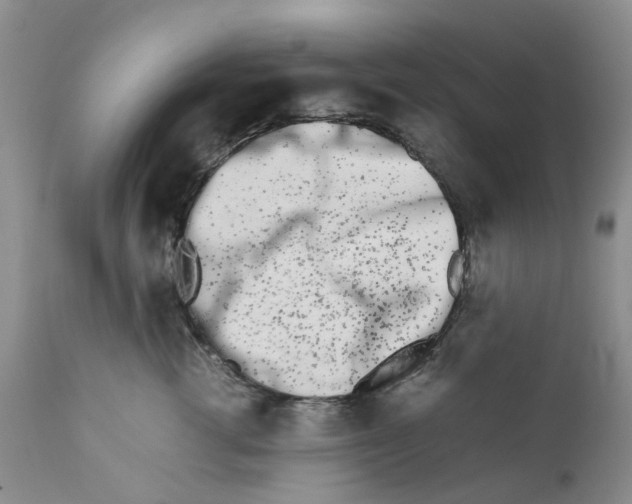 X0000111680762200908281136