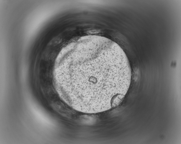 X0000111680763200908281136