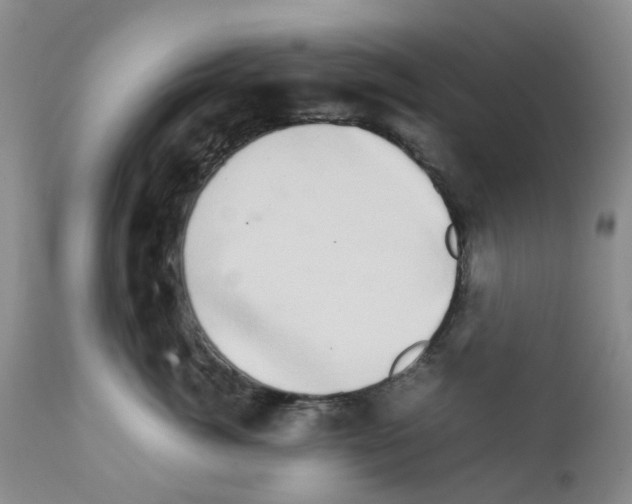 X0000111680764200908281136