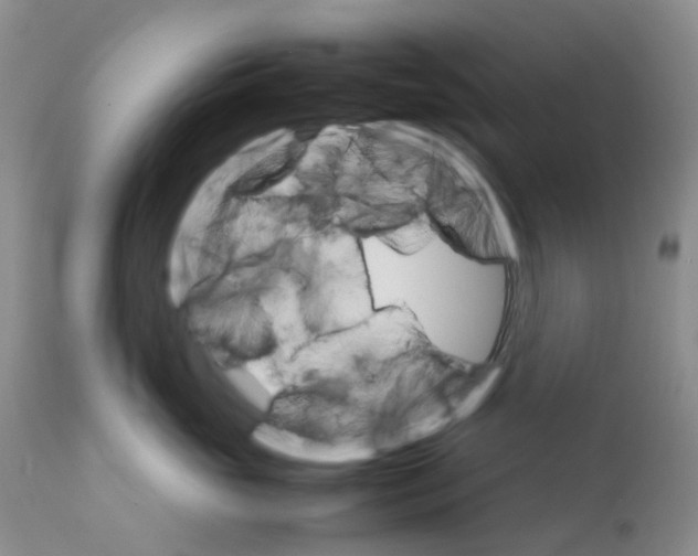 X0000111680765200908281136