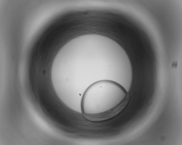 X0000111680766200908281136