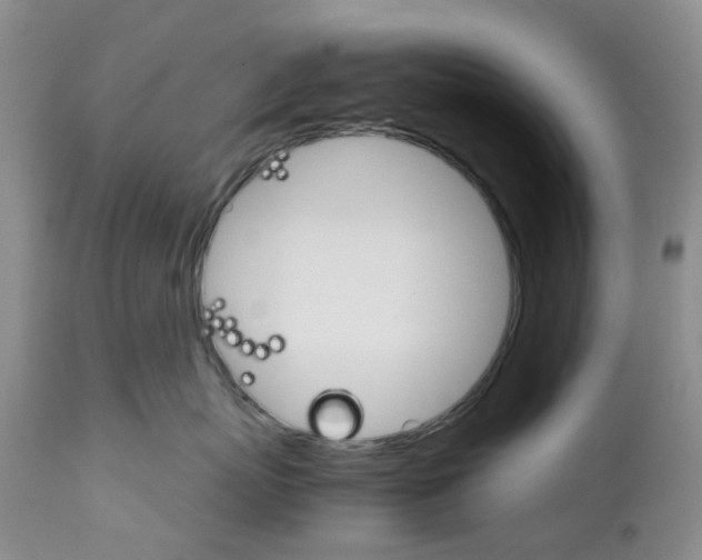 X0000111680767200908281136