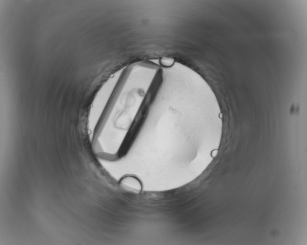 X0000111680768200908281136