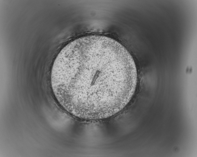 X0000111680769200908281135