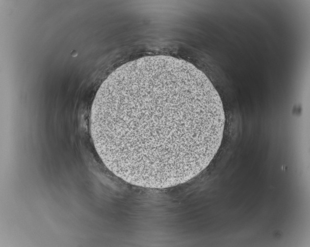 X0000111680770200908281135