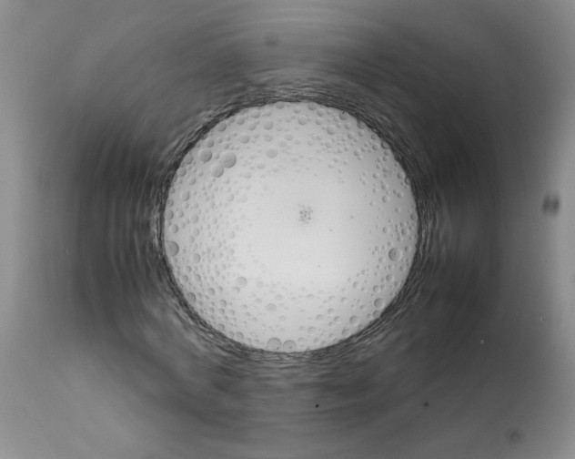 X0000111680772200908281135