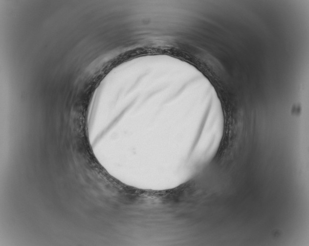 X0000111680773200908281135